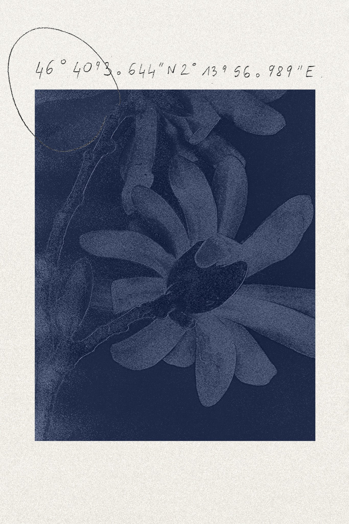 Casey Casey Orsan AW25