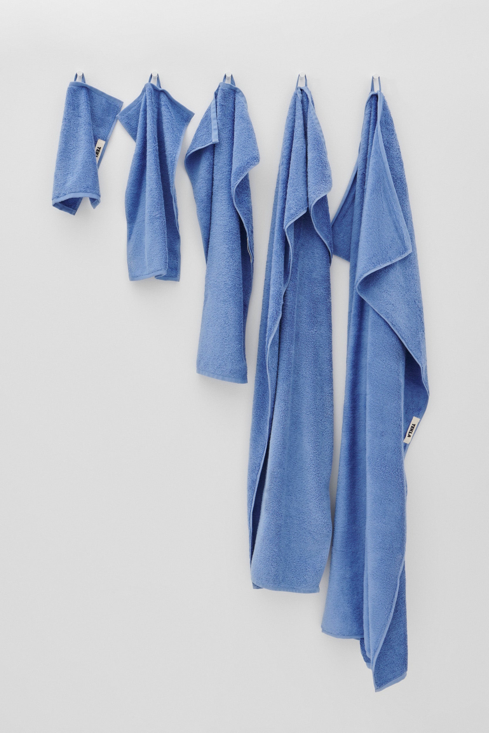 Terry Guest Towel Clear Blue