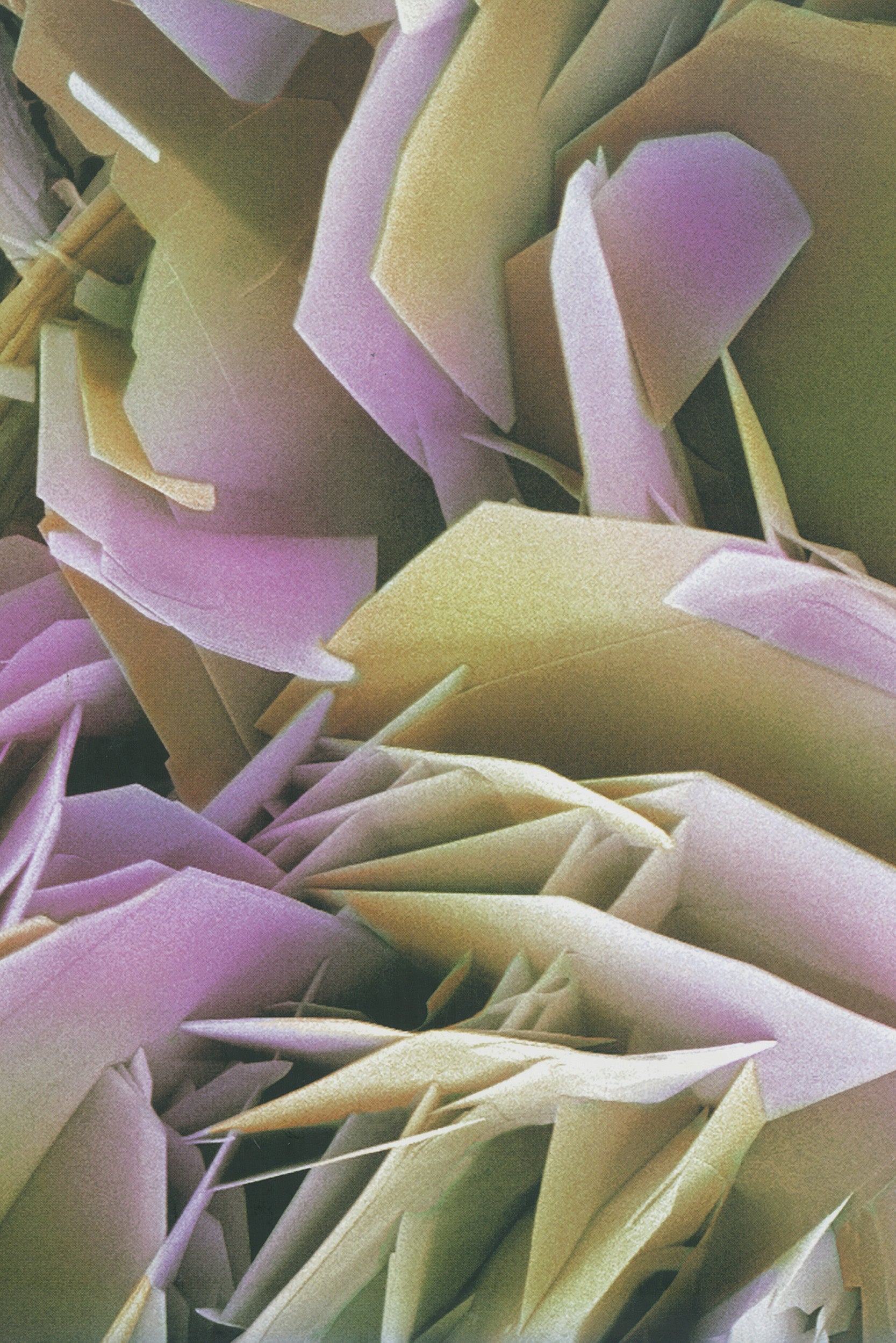 Sunray Spirit | Inside Our Bodies