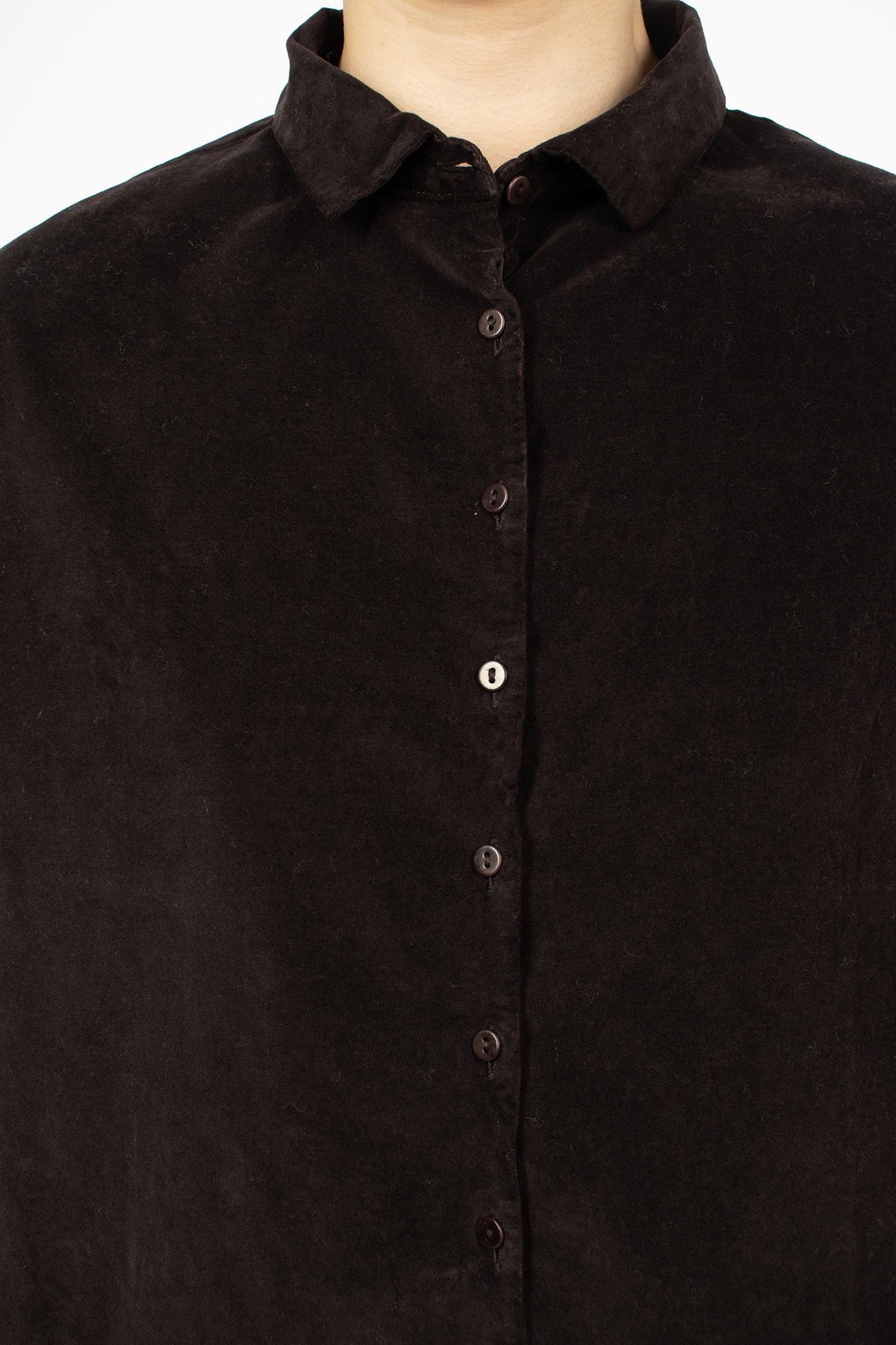 12_125 Velvet Short Collar Shirt Chocolate