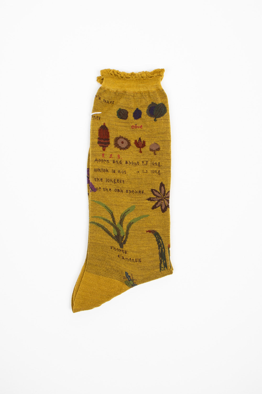 AM-773 Botanical XV Socks Mustard