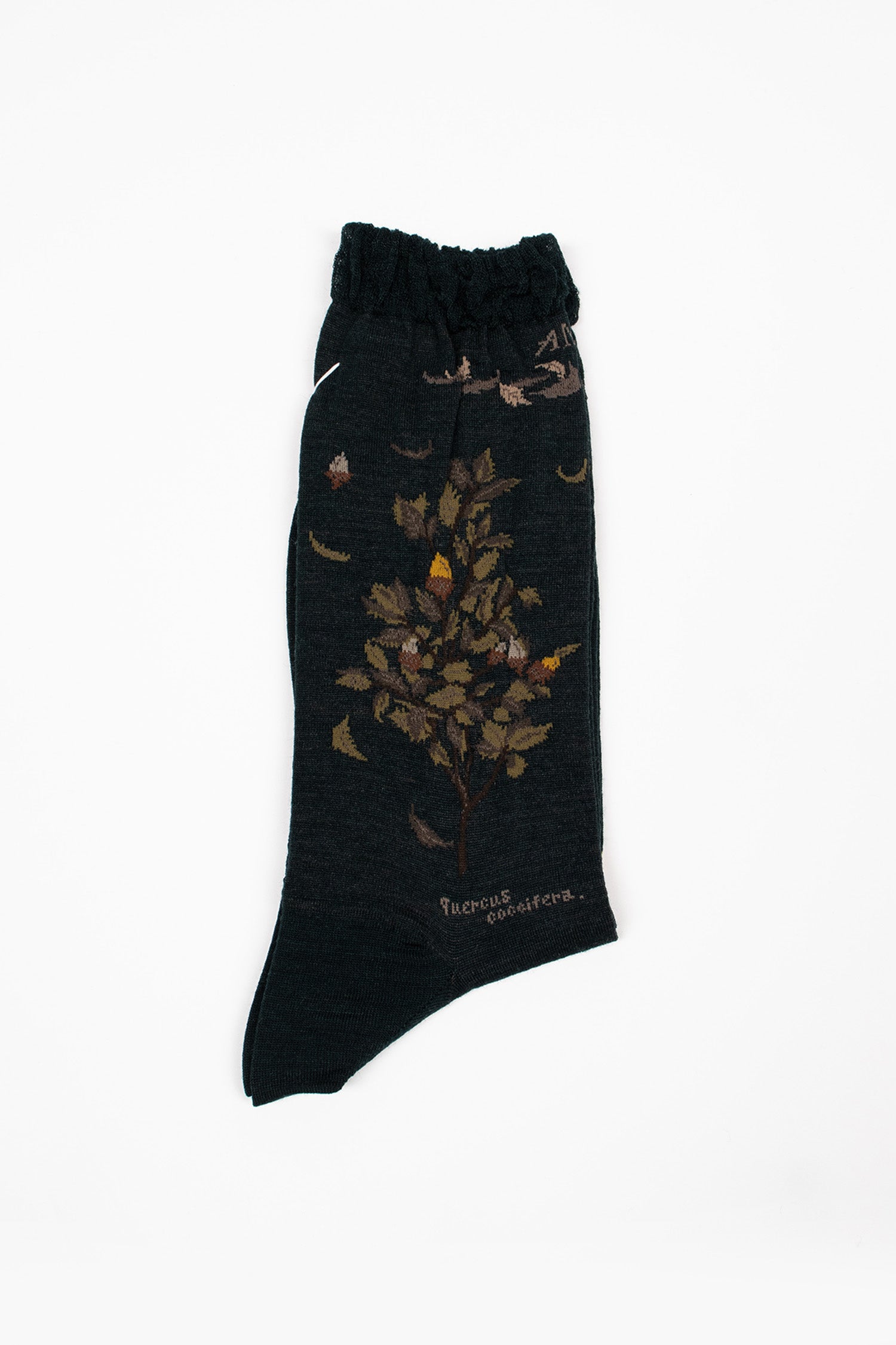 AM-806 Wind And Acorn Tree Socks Dark Green