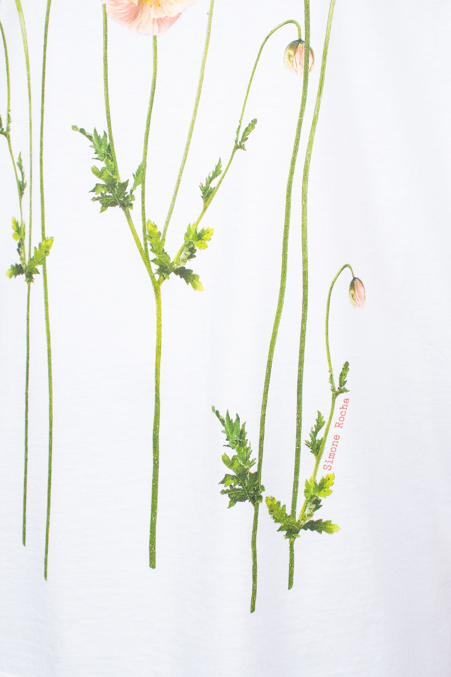 Poppy Field Print T-Shirt White